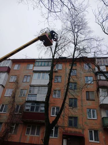 Звіт про роботу КВГП за тиждень