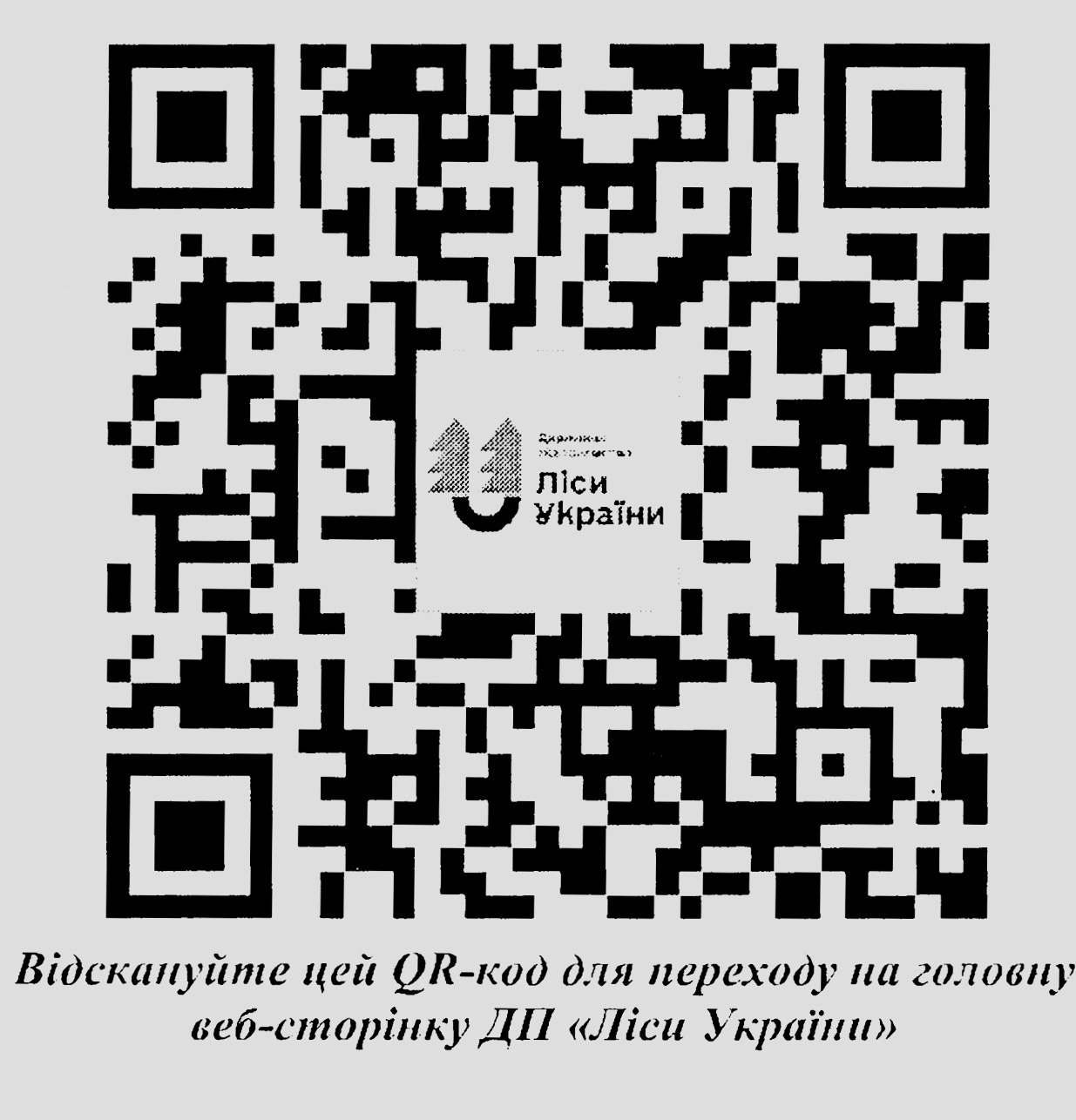 Коростенське надлісництво інформує про правила використання лісових ресурсів