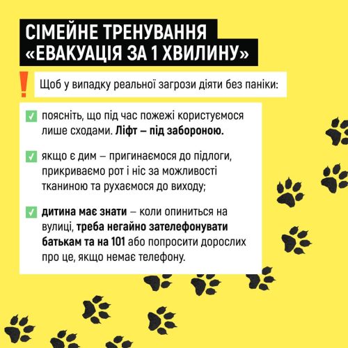 Безпечні канікули: ідеї розваг для дітей і батьків