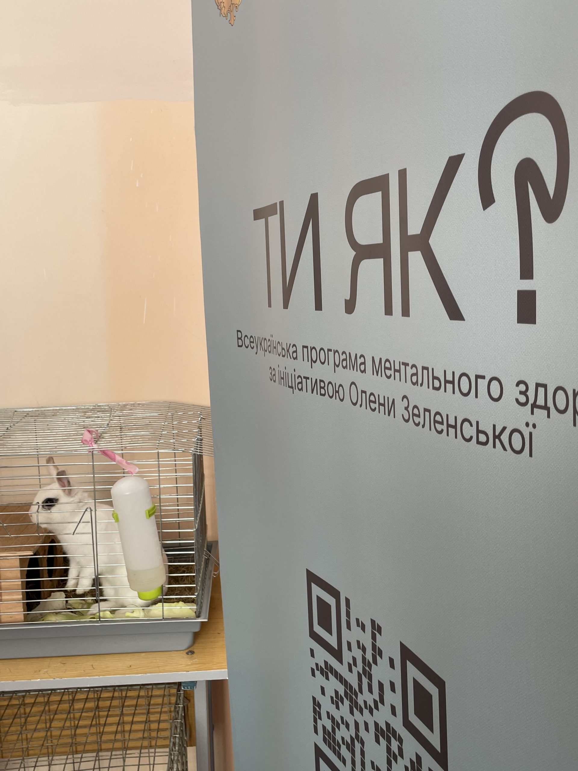 День спільнодії «Позашкілля — простір турботи “Ти як?”»